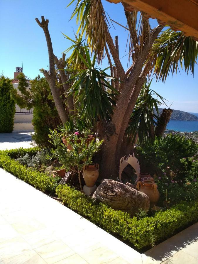 Saronic View Guest House Anavyssos Exterior photo